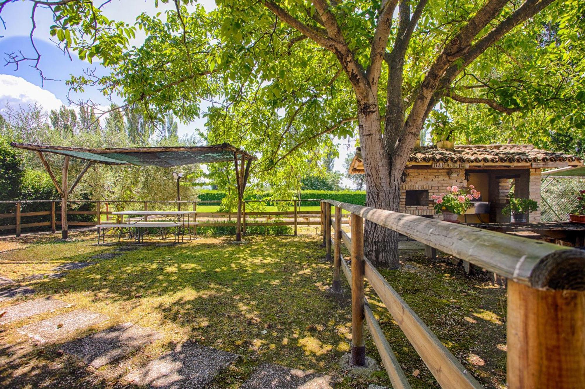 Agriturismo La Mora Assisi Exterior photo