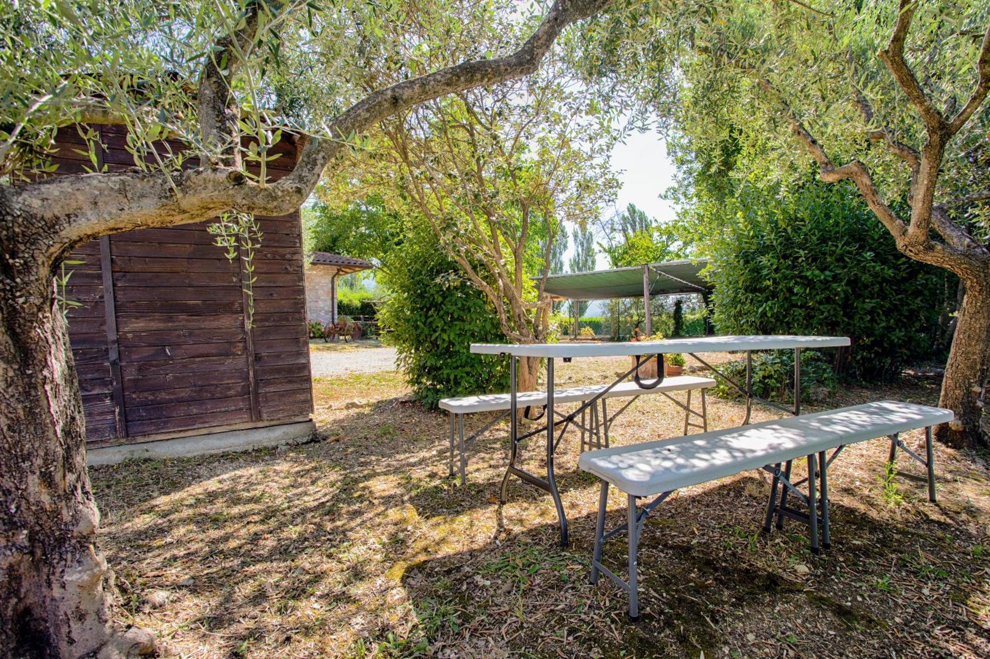 Agriturismo La Mora Assisi Exterior photo
